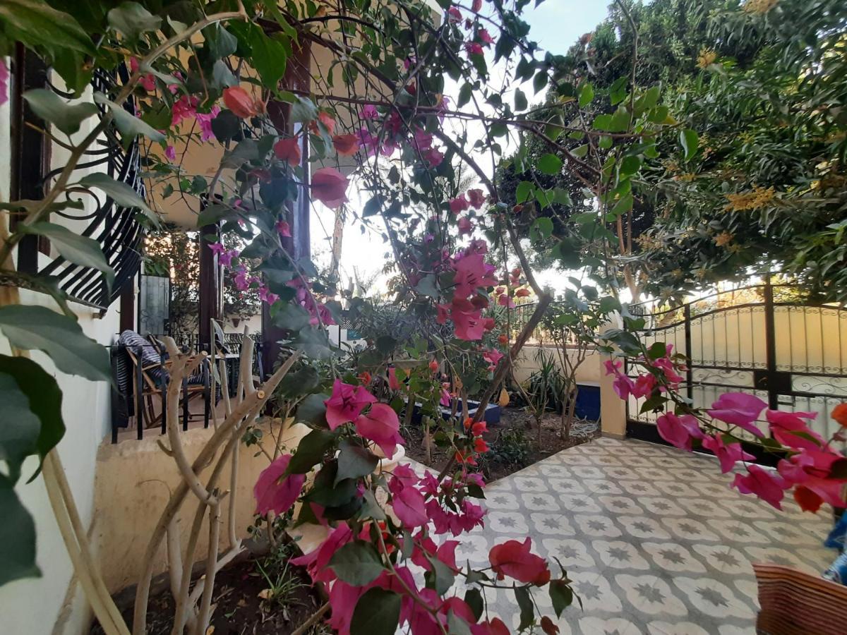 Villa Bahri Luxor Apartment Экстерьер фото